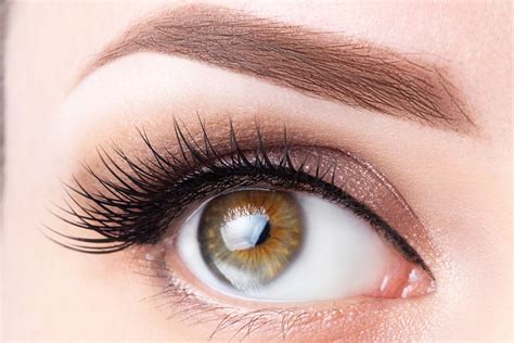 bellingham lash tint